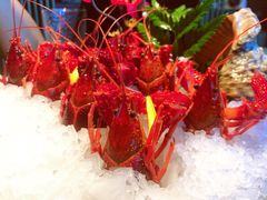 -芥末日本料理(打浦路铂尔曼旗舰店)