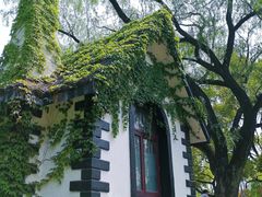 -上海共青森林公园