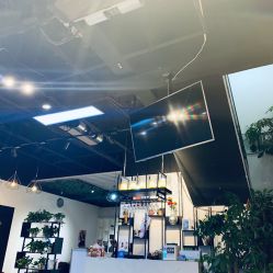 -魔型社