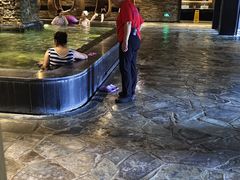 -清河半岛温泉度假酒店