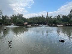 -溱湖国家湿地公园