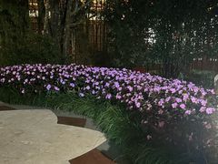 -大唐博相府酒店·陕西官府菜