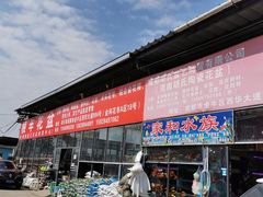 -金科花卉市场