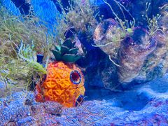 -常州海昌海洋探索馆