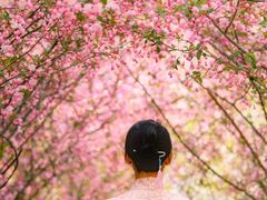 -台儿庄古城