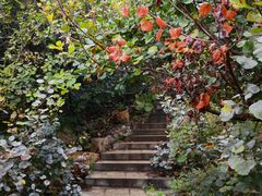 -北京西山国家森林公园