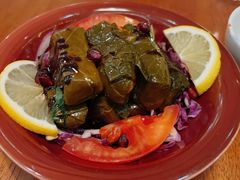 传统葡萄叶包-ELI FALAFEL Lebanese&Mediterranean黎巴嫩美食(富城路店)