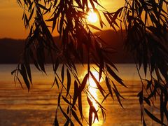 -东钱湖旅游度假区