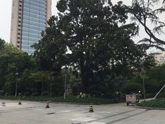 -中国福利会少年宫