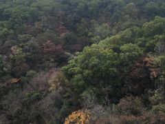 -广州市白云山风景名胜区