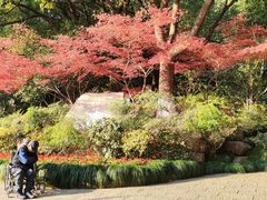 -杭州半山国家森林公园