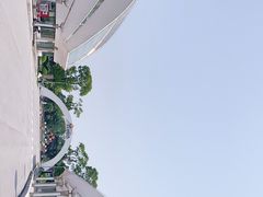 -上海鲜花港