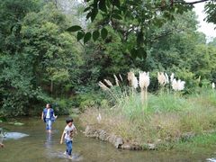 -黔灵山公园-南门售票处