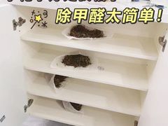 -浙大冰虫甲醛检测治理(闵行店)