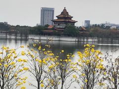 -顺峰山公园