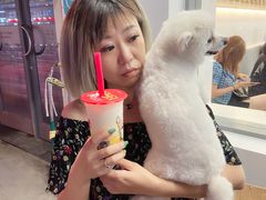 -蜜雪冰城(桂林胡同店)