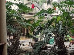 -顺峰·粤菜海鲜·早茶自助(阜成店)