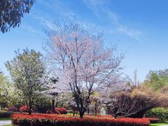 -南京特殊教育师范学院(燕子矶校区)