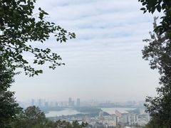 -紫金山山顶公园