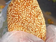 -清真·安乐园菜馆(茶南店)