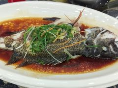 -波记美食店·现捞海鲜