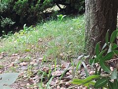 -四里河滨水生态公园