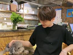 -more than meow吴止猫主题餐厅(承德 中船汇店)