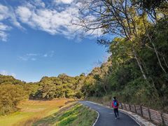 -梧桐山风景名胜区