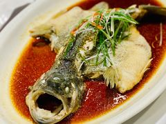 清蒸鲈鱼-紫光园(顺义店)