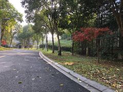 -绍兴鉴湖君澜大酒店