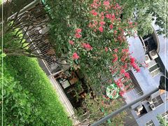 -星巴克(深圳侨城街店)