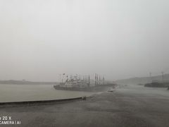 -金海湾海鲜排档(朱家尖店)