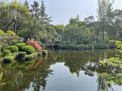 -秋霞圃