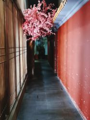 -盘子女人坊生日照·摄影馆(华强店)