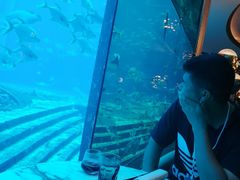 -亚特兰蒂斯•OSSIANO奥西亚诺海底餐厅