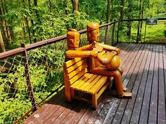 -黄海国家森林公园