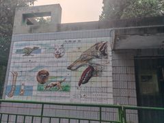 -保定市动物园