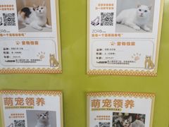 -瑞虹新天地月亮湾