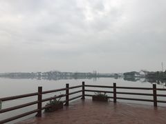 -鹅湖玫瑰文化园