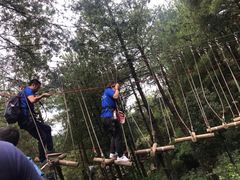 -梦幻奥陶纪景区