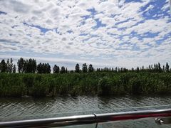 -白洋淀风景区