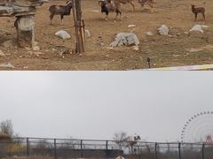 -济南野生动物世界