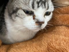 -关爱动物医院·心脏·中兽医·异宠(金牛路分院)