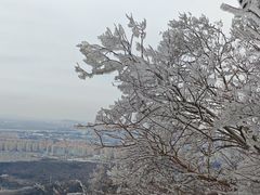 -紫金山山顶公园