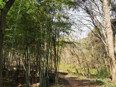 -南京市无想山景区