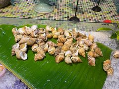 -渔家火锅·海鲜自助餐·演艺(亚龙湾天域酒店)