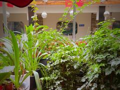 -大院河·仙鱼莊(九眼桥店)