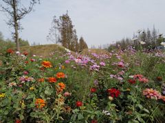 -前小桔亲子创意农场·草莓采摘·露营烧烤