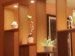 -COSTA COFFEE(新奥购物中心店)