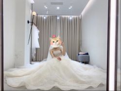 -WECOUTURE高级订制广州